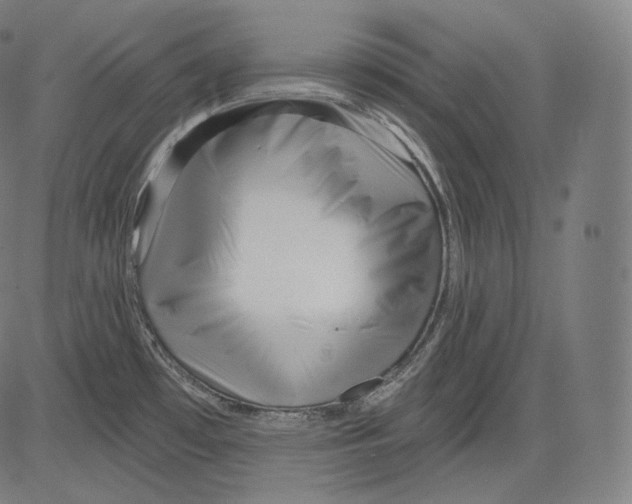 X0000083611481200703121550