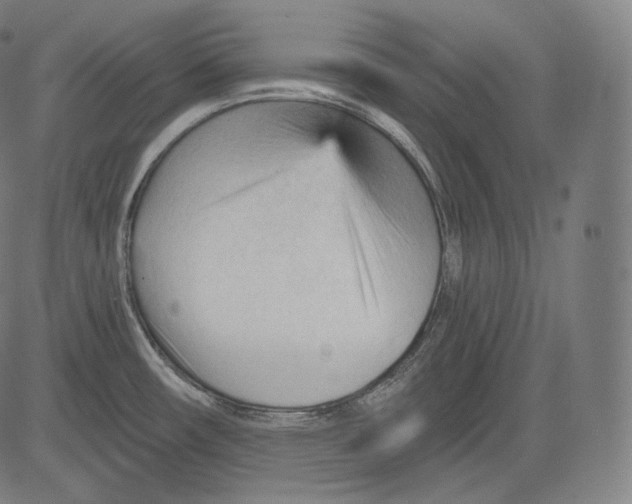 X0000083611482200703121550