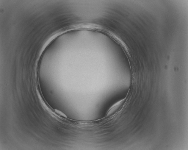 X0000083611483200703121550