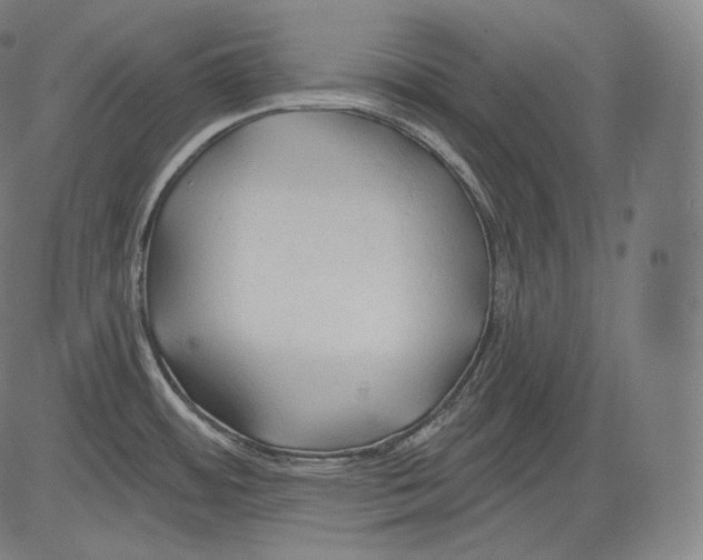 X0000083611484200703121550