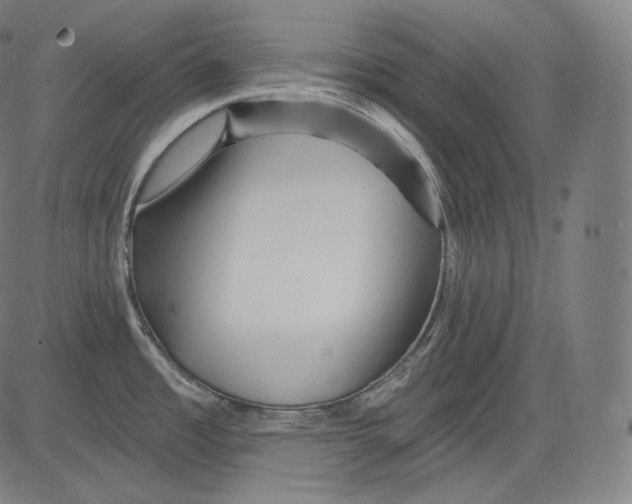 X0000083611485200703121550