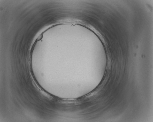 X0000083611486200703121550