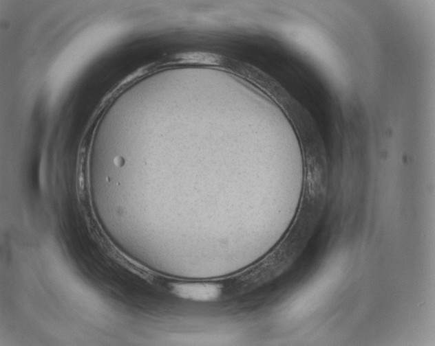 X0000083611487200703121550