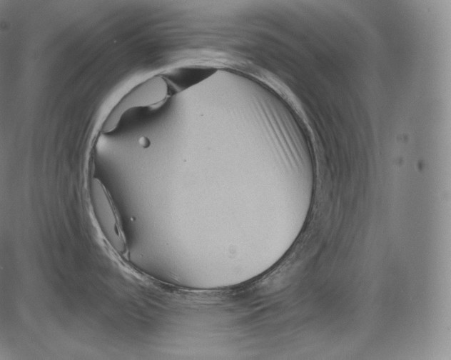 X0000083611488200703121550