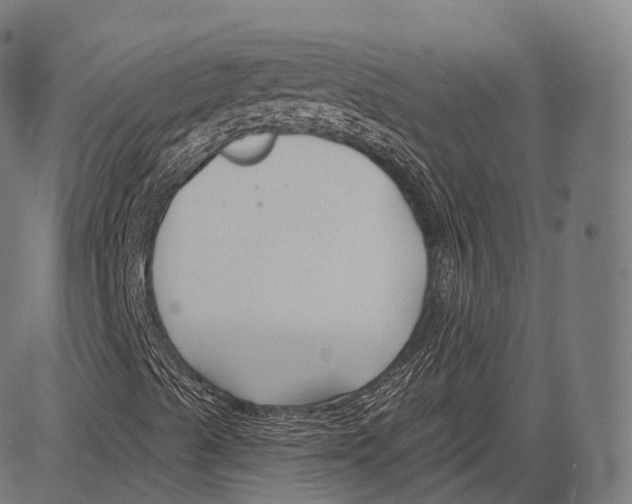 X0000083611489200703121549