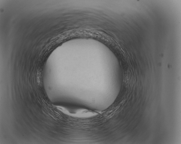 X0000083611490200703121549