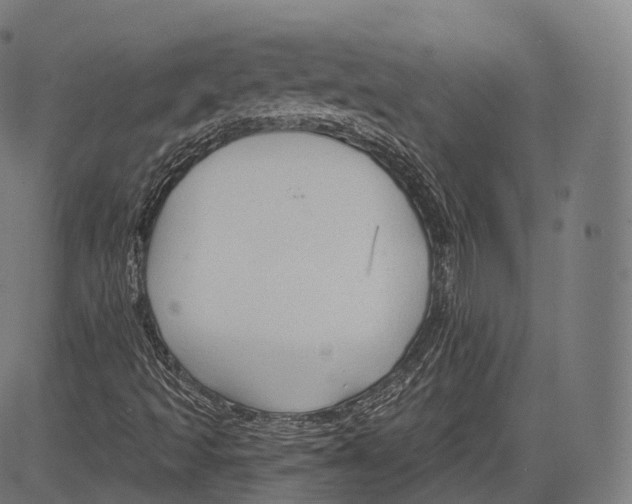 X0000083611493200703121549