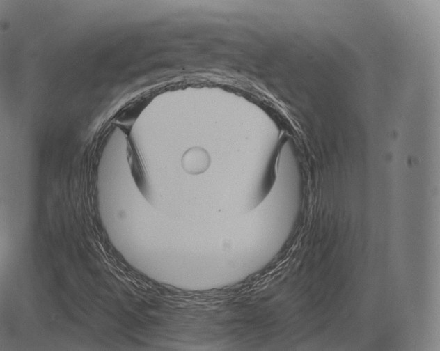 X0000083611496200703121549