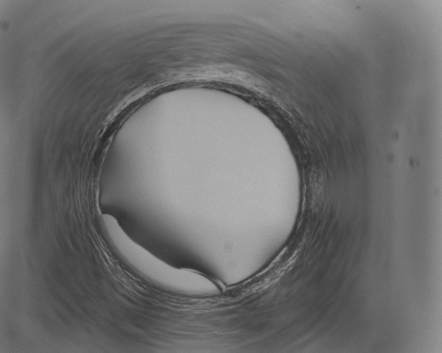 X0000083611497200703121549