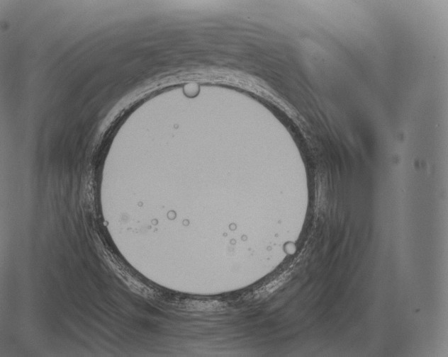 X0000083611498200703121549