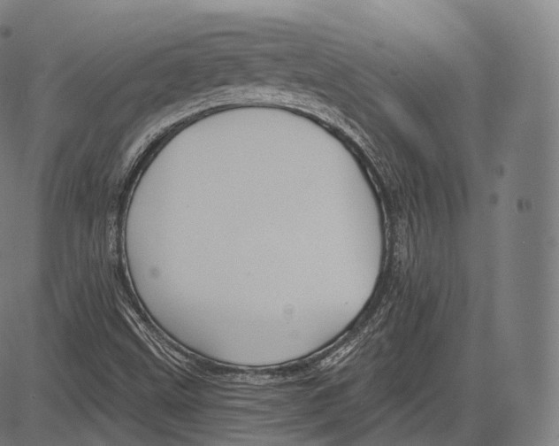 X0000083611499200703121549