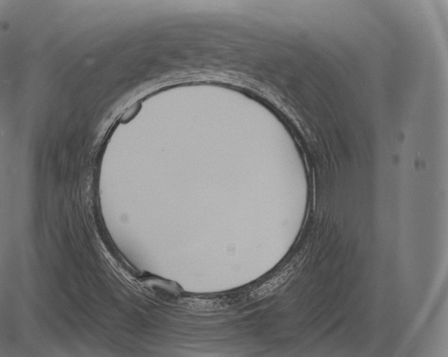 X0000083611500200703121549