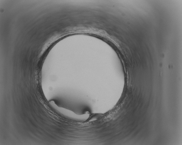 X0000083611501200703121549