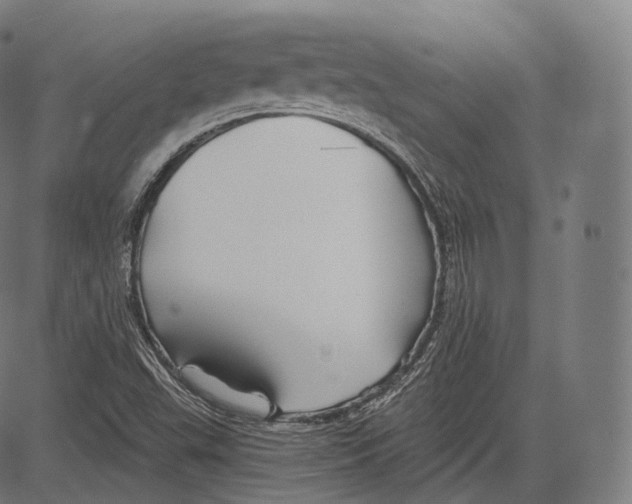 X0000083611503200703121549