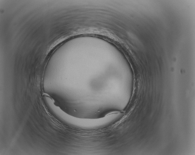 X0000083611505200703121549