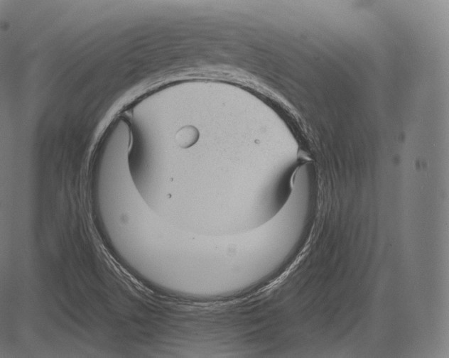 X0000083611506200703121549