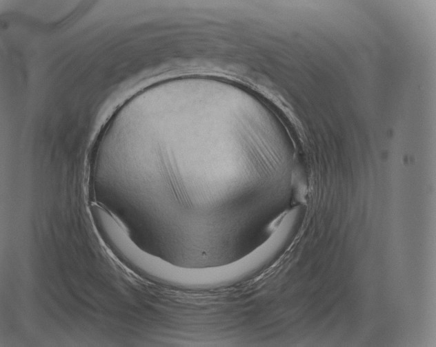 X0000083611508200703121549