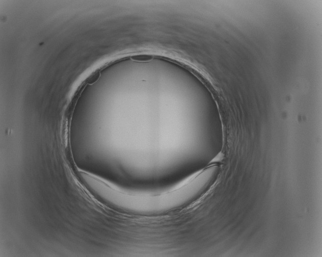 X0000083611510200703121549