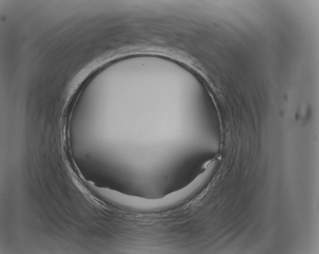 X0000083611511200703121549