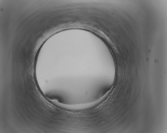 X0000083611512200703121549