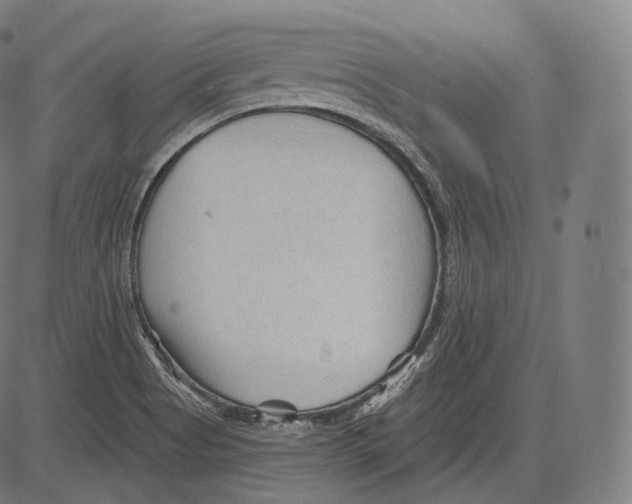 X0000083611513200703121549