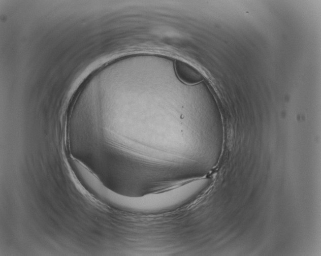 X0000083611515200703121549