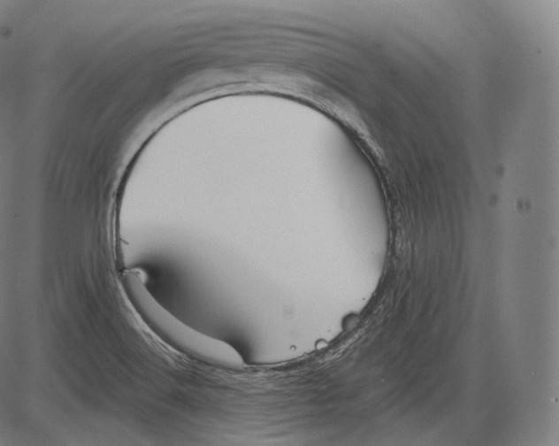 X0000083611516200703121549