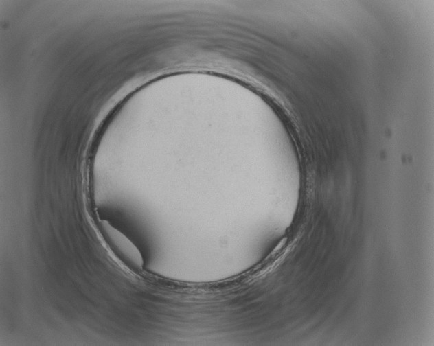 X0000083611517200703121549