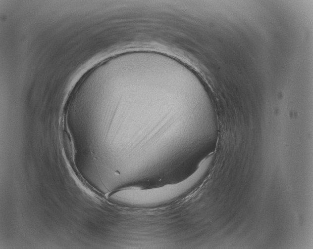 X0000083611519200703121549