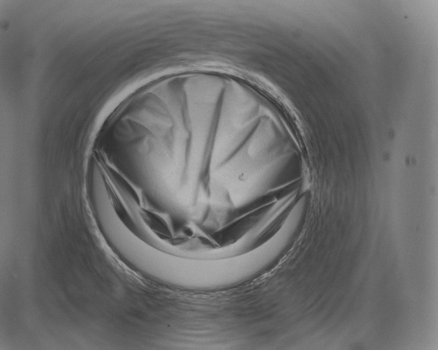 X0000083611520200703121549