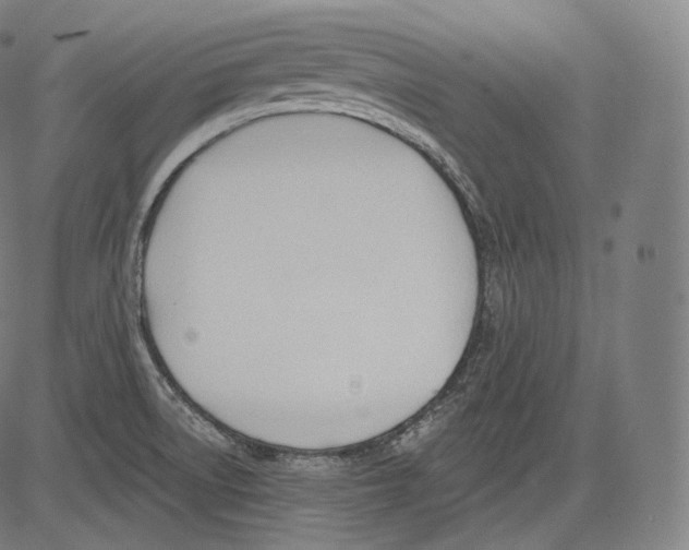 X0000083611522200703121549