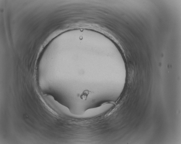 X0000083611525200703121549