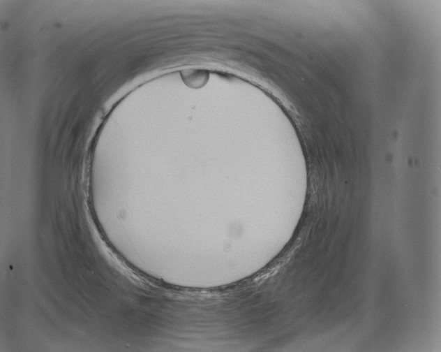 X0000083611526200703121549