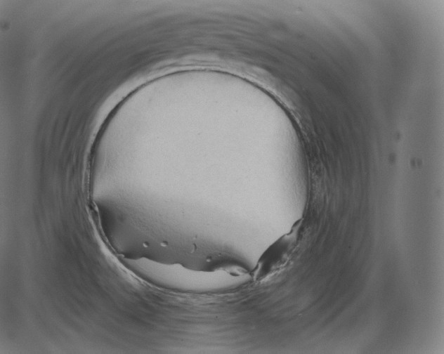 X0000083611527200703121549