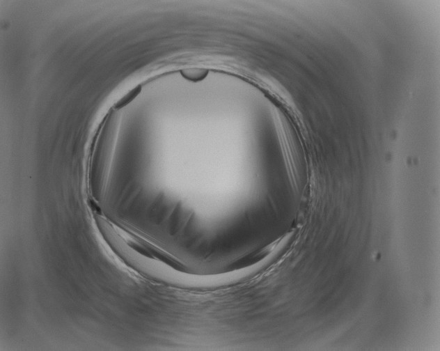 X0000083611528200703121549