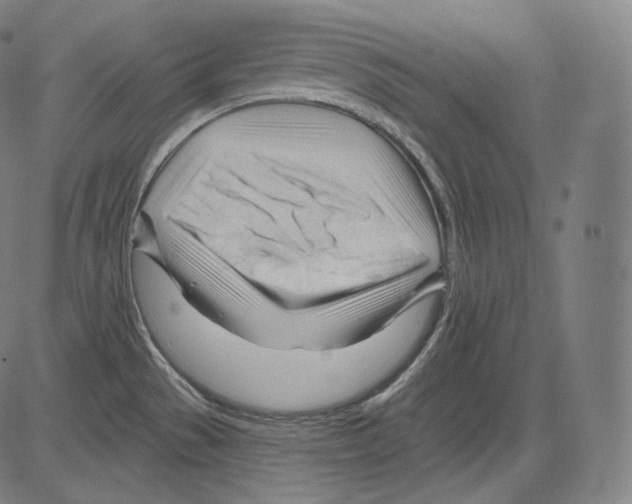 X0000083611529200703121549