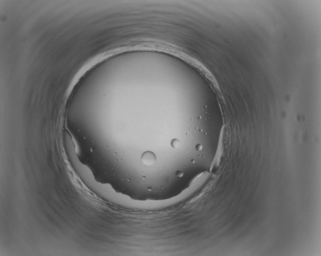 X0000083611530200703121549