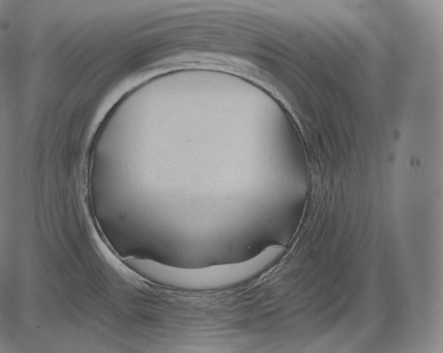 X0000083611531200703121549