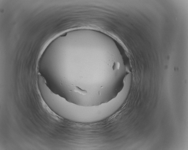 X0000083611532200703121549