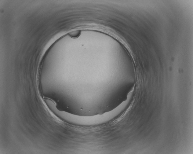 X0000083611533200703121549