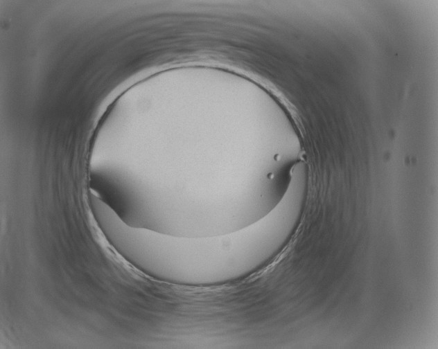 X0000083611534200703121549