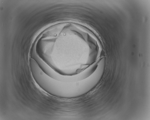 X0000083611535200703121549