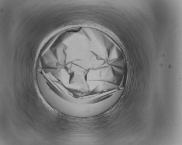 X0000083611536200703121550