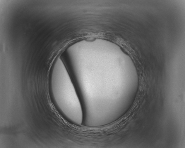 X0000083620002200702120801