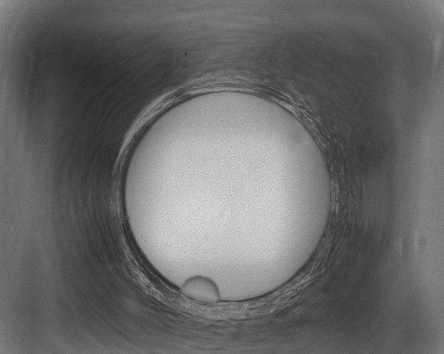 X0000083620004200702120801