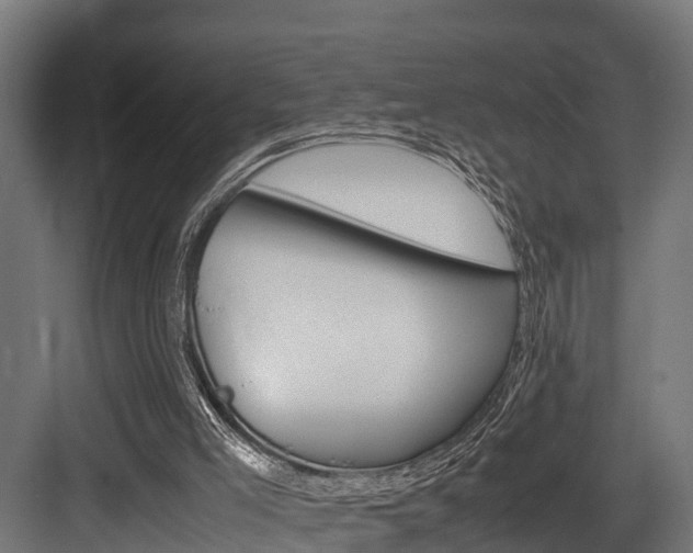 X0000083620005200702120801
