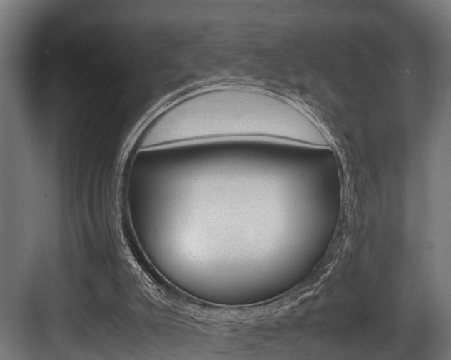 X0000083620007200702120801