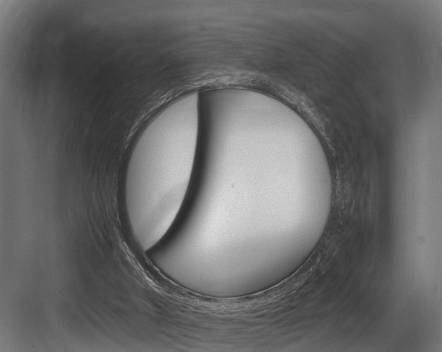 X0000083620010200702120801