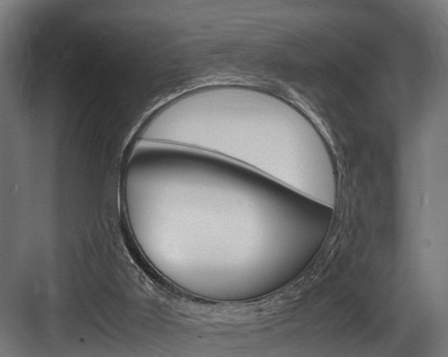 X0000083620011200702120801