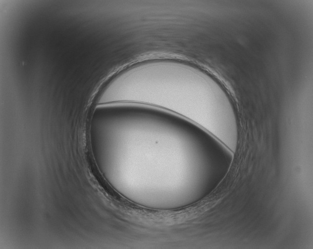X0000083620015200702120801
